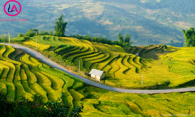 Những điều bạn cần biết khi đi du lịch Mù Cang Chải